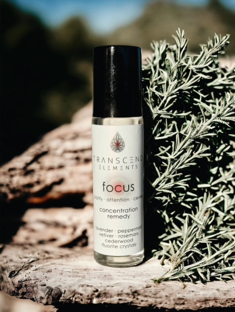 Focus